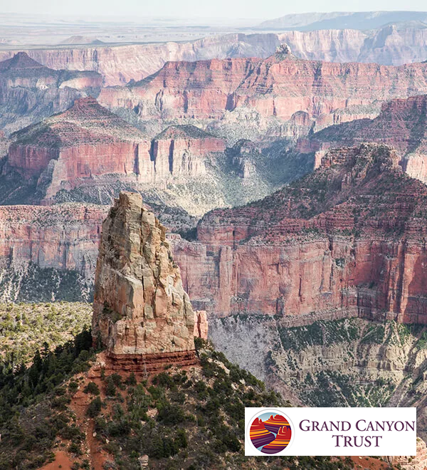 Grand Canyon Trust